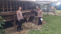 8 Kambing Warga Depok Digondol Maling, Hanya Disisakan Jeroan di Kandang