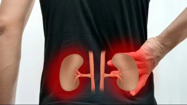 6 Kebiasaan Buruk Ini Dapat Merusak Ginjal