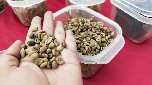 Langkah Besar Mengembalikan Nama Besar Kopi Sumsel