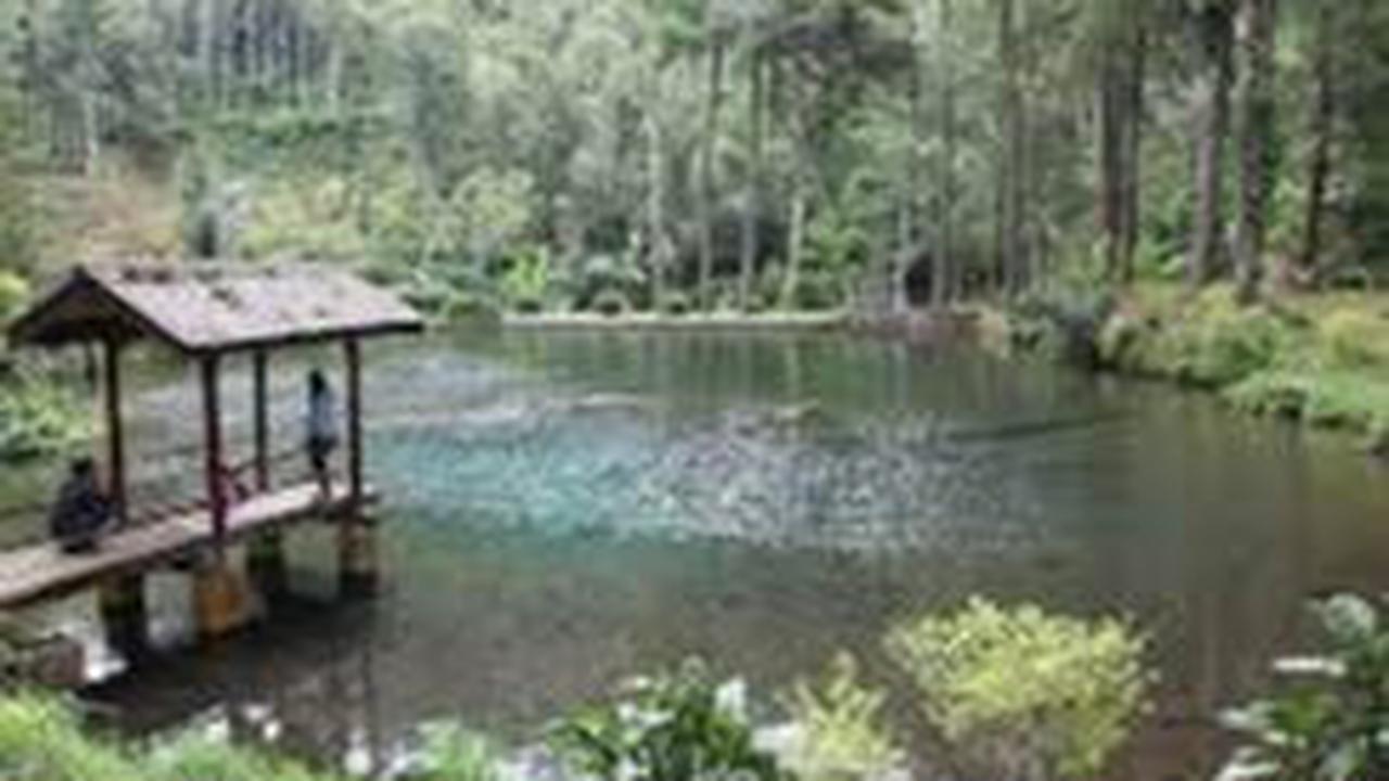 Telaga Rambut Monte
