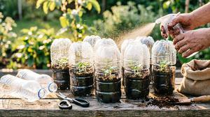 7 Cara Membuat Rumah Bibit Mini dari Botol Bekas, Mudah dan Ramah Lingkungan