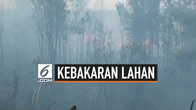 Kebakaran lahan yang sudah berlangsung seama sepekan di Kabupaten Ogan Komering Ilir (Oki) sulit dipadamkan. Api sult dipadamkan karena semprotan air tidak sampai ke dasar lahan gambut sehingga jika tertiup angin bara api kembali menyala.