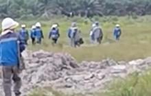 Heboh Puluhan TKA Asal China di Musi Banyuasin Kabur saat Dirazia, Begini Faktanya