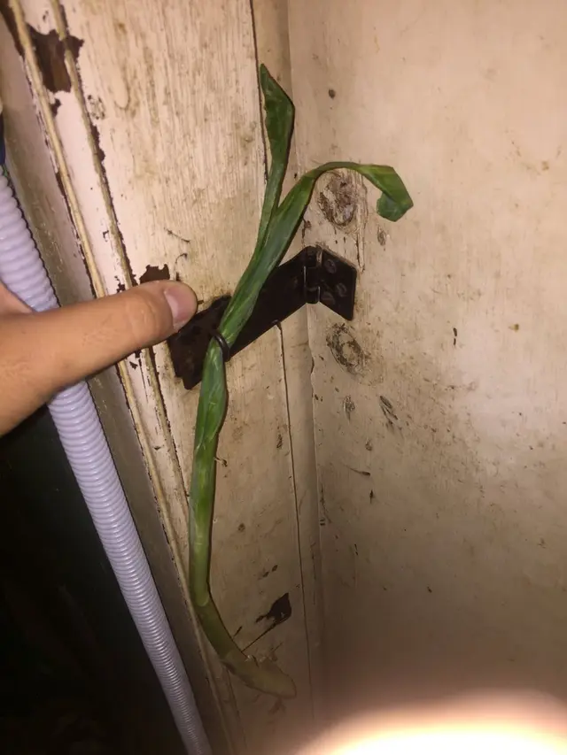 6 Potret Cara Orang Perbaiki Pintu Ini Bikin Gagal Paham