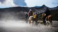 Ilustrasi wisata Bromo. (pexels.com/@alex-borghi-865852)