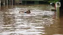 Anak-anak berenang di salah satu gang di Kawasan Rawajati yang tergenang banjir, Jakarta, Rabu Rabu (1/1/2020). Hujan yang mengguyur Jakarta sejak Selasa sore (31/12/2019) mengakibatkan banjir di sejumlah titik di Jakarta. (Liputan6.com/Helmi Fithriansyah)