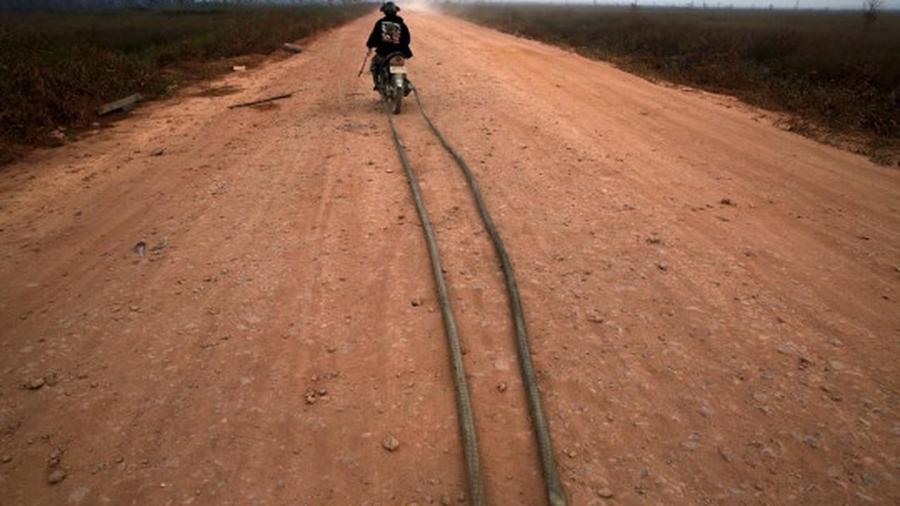 Kisah heroik warga Sumsel bantu padamkan kebakaran hutan