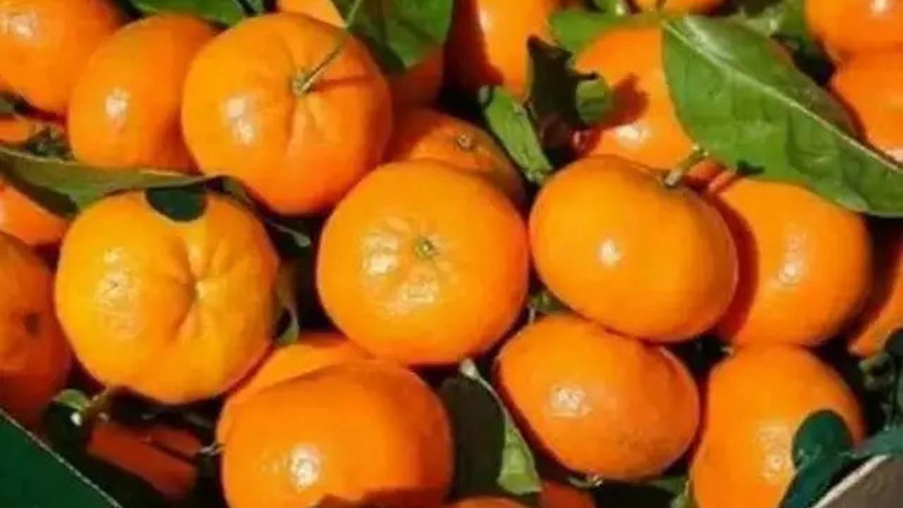 Pilihan Menu Makanan Lezat yang Bantu Tidur Lebih Nyenyak