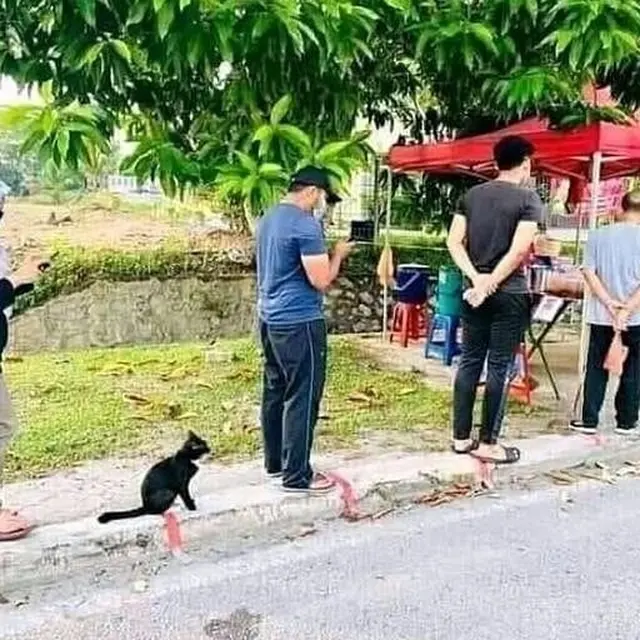 7 Potret Kocak Jaga Jarak di Tempat Makan Ini Bikin Ngakak