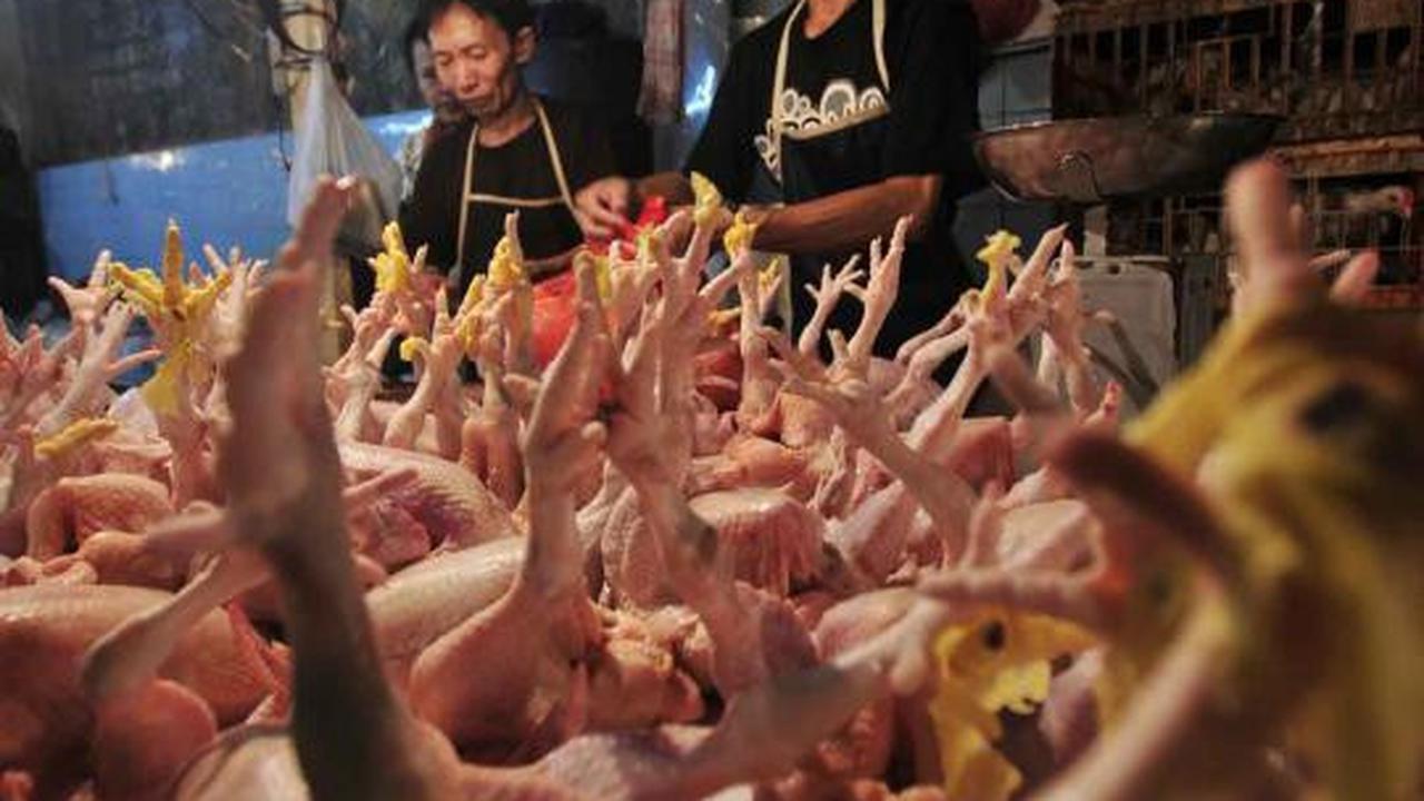 Jelang lebaran, harga daging sapi dan ayam terus meroket