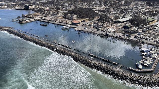 Kebakaran Hutan Hawaii