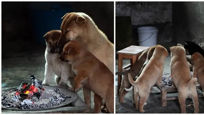 Photo copyright Shanghaiist.com