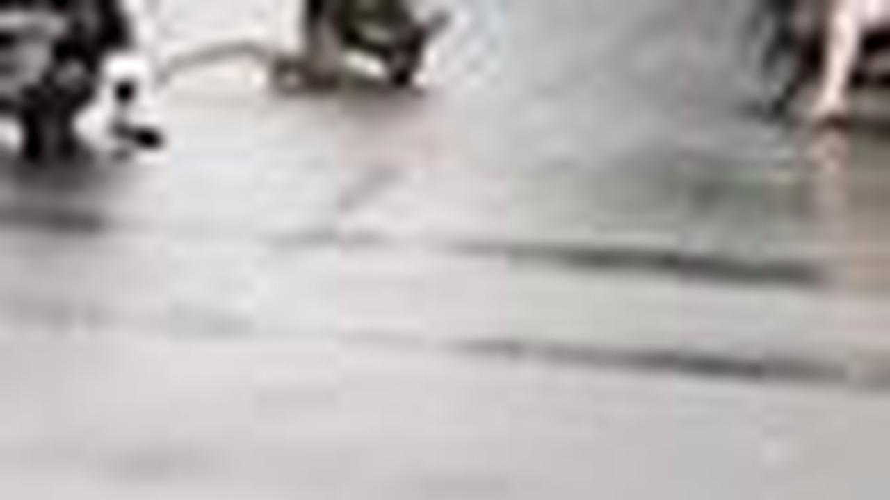 Biawak Ini Bikin Pengguna Jalan Kocar Kacir