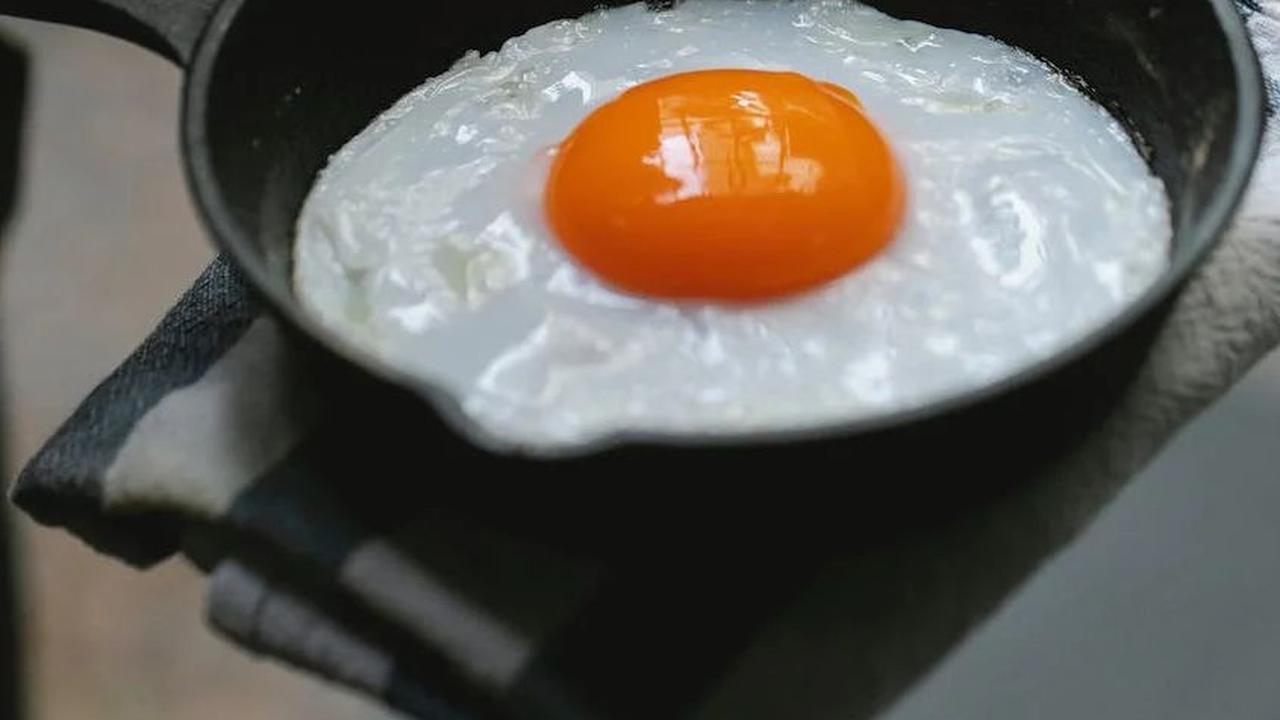 1. Telur