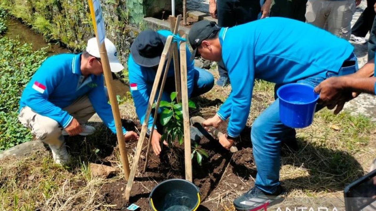 Fakta Unik: Pohon Alpukat dan Durian Jadi Penjaga Mata Air Utama Rejang Lebong, Bupati Ajak Warga Lestarikan Sumber Air