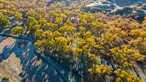 Foto dari udara yang diabadikan pada 18 Oktober 2020 ini menunjukkan pemandangan musim gugur di hutan poplar gurun (populus euphratica) di Wilayah Ejin, Daerah Otonom Mongolia Dalam, China utara. (Xinhua/Lian Zhen)