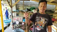 Sobri, salah satu pengusaha lobster asal taman Manalusu, Cikelet, Garut, Jawa Barat, menunjukan lobster ukuran sedang, hasil tangkapan nelayan (Liputan6.com/Jayadi Supriadin)