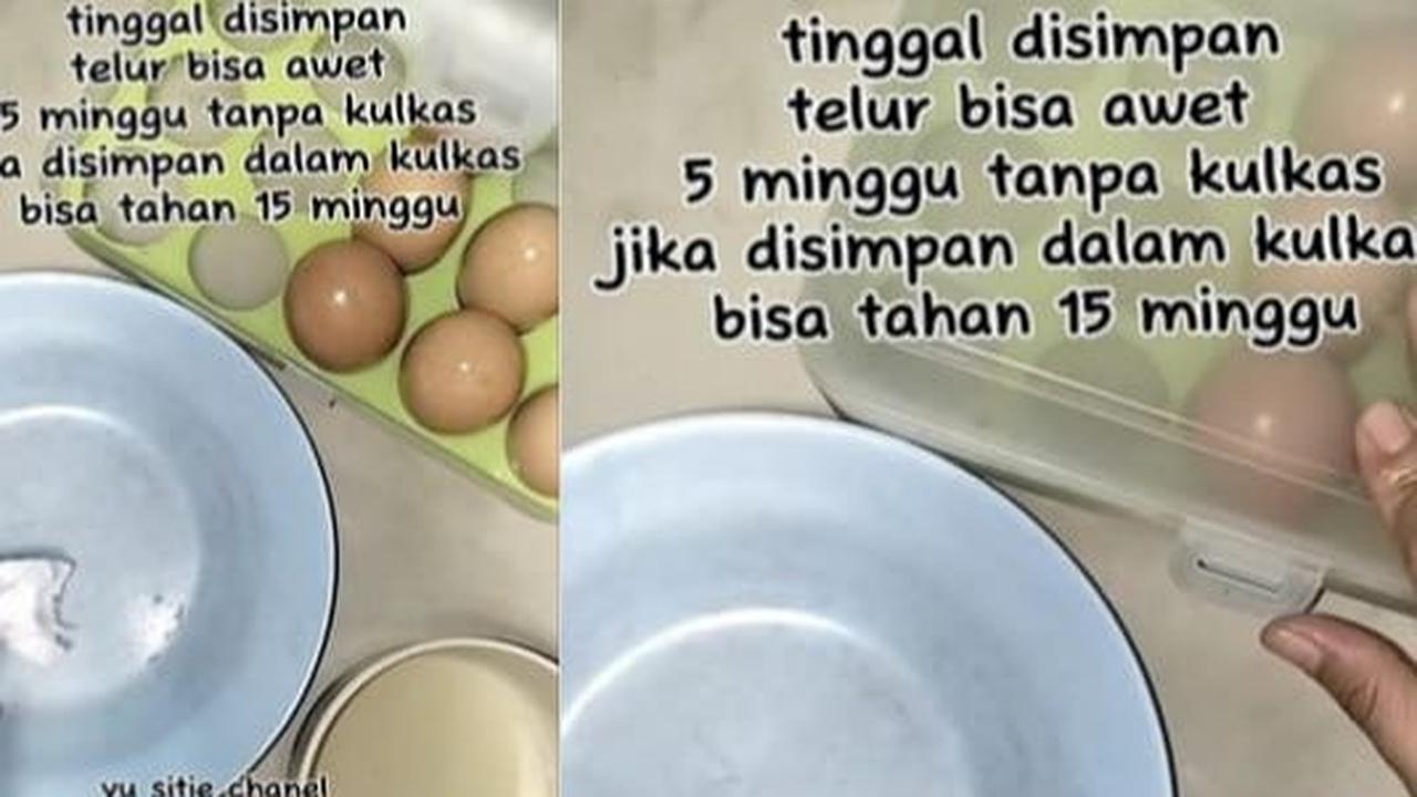 <b>Masukkan Telur ke Wadah Kering</b>