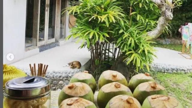 Menengok Kuta Retreat Center, Tempat Leonardo DiCaprio dan Tobey Maguire Menghadiri Acara di Bali