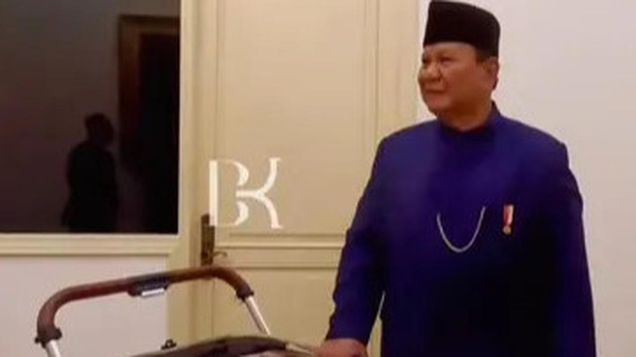 7 Potret Bobby Kucing Prabowo di Pelantikan Presiden, Jadi Penghuni Istana