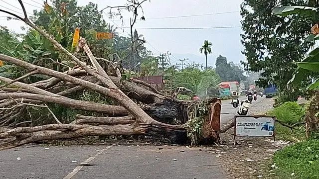 Warga Blokir Jalan Trans Sulawesi Selama Tiga Hari