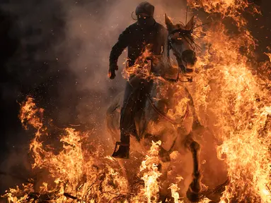 Seorang pria menunggangi kuda melewati api unggun saat festival Luminarias di San Bartolome de Pinares, Spanyol, Rabu (16/1). Festival ini digelar setiap tahunnya, sehari sebelum perayaan Santo Antonius yang merupakan pelindung binatang. (AP/Felipe Dana)