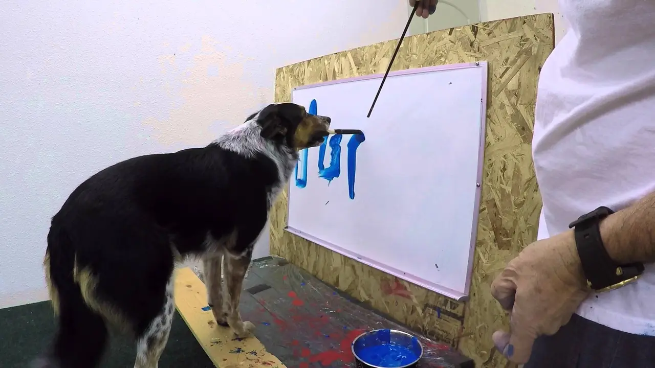 Pintar, Anjing Ini Bisa Tulis Namanya Sendiri di Atas Kertas