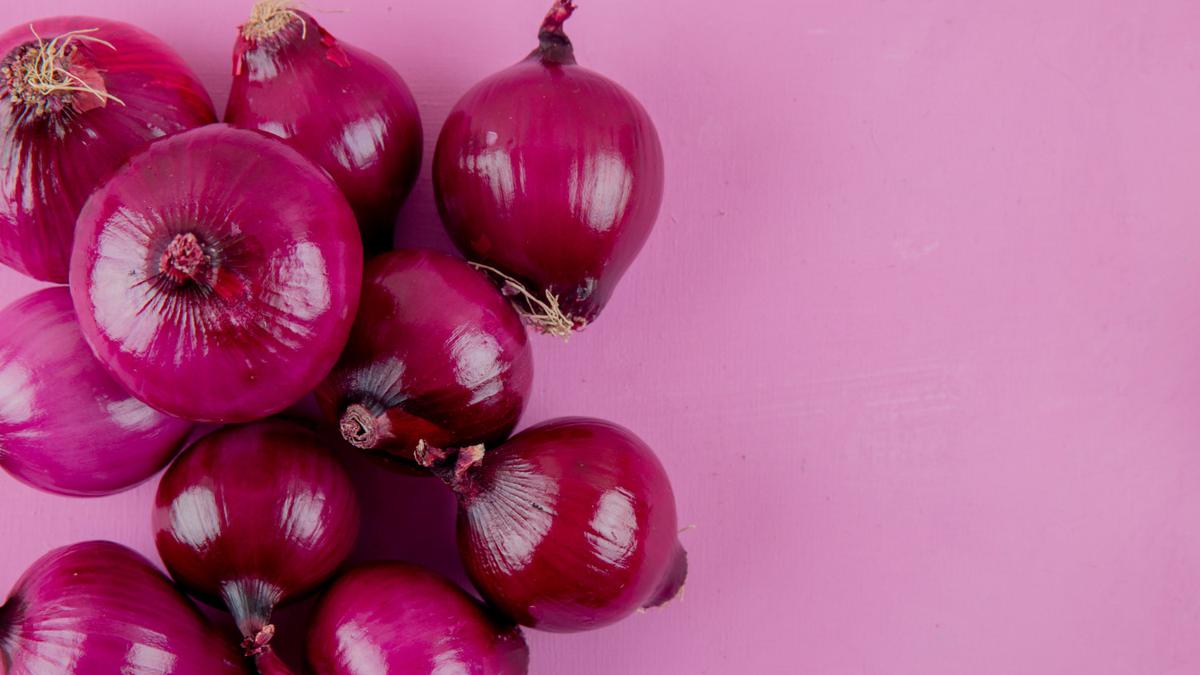 7 Cara Menanam Bawang Merah yang Hampir Busuk di Botol Plastik agar Tetap Tumbuh Subur