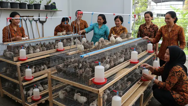 Usaha Ternak Burung Puyuh di Desa/Gemini AI