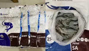 Berawal dari Foto Udang, Penggelapan Tambak Rp 500 Juta Terbongkar