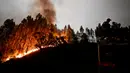 Petugas pemadam kebakaran berdiri di atas truk damkar saat memadamkan api yang melanda hutan di Anciao, Portugal tengah, Minggu (18/6).  Sejumlah desa terkena dampak kebakaran dan telah melakukan prosedur evakuasi. (PATRICIA DE MELO MOREIRA/AFP)