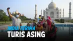 vertical india