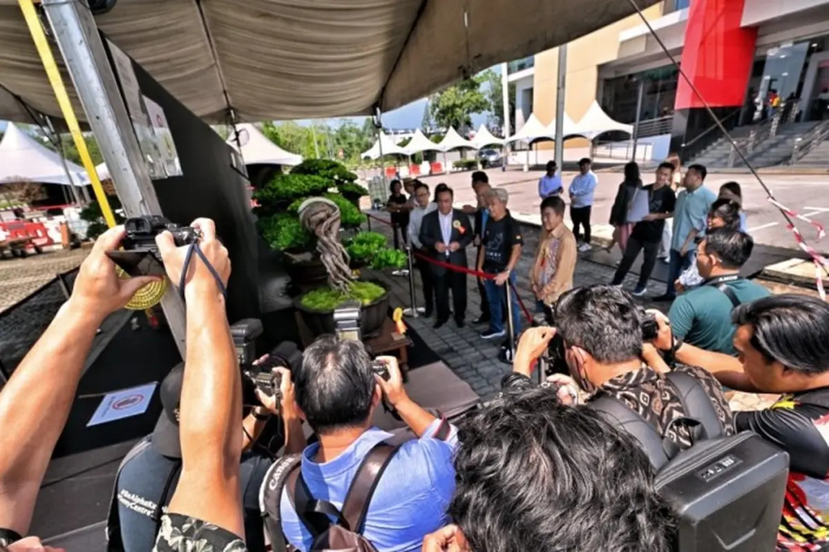 Sepak terjang Jusin Clasic, Kolektor Bonsai Muda Indonesia di kancah internasional