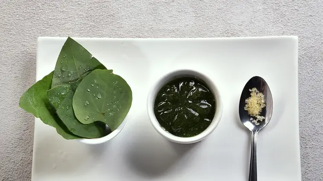 cincau hijau