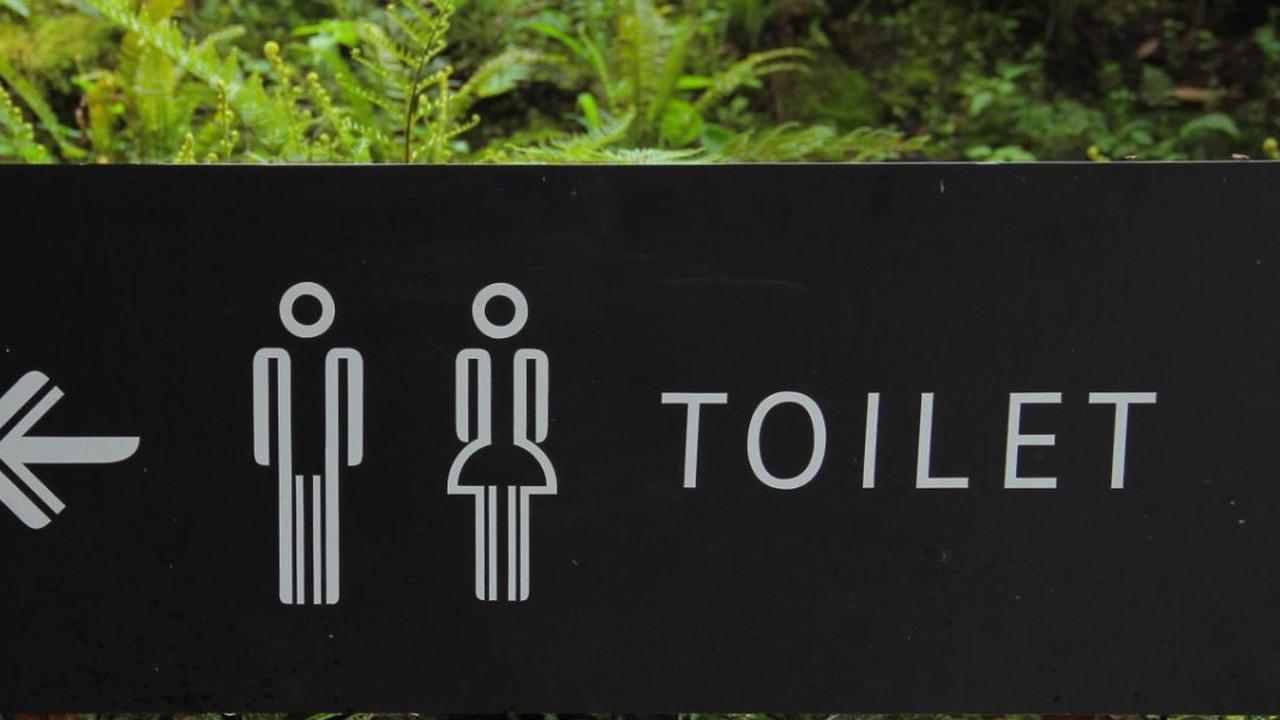 Ternyata Istana Kerajaan di Eropa Abad Pertengahan Jorok & Bau Busuk, Tak Ada Toilet Penghuni BAB Sembarangan