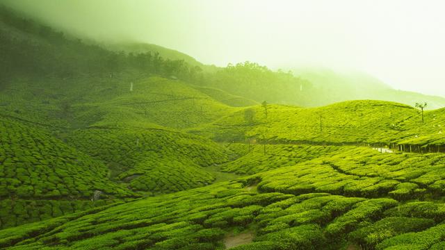 Munnar