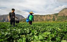 BRI Perkuat Pilar Sosial dengan Pemberdayaan UMKM dan Program TJSL