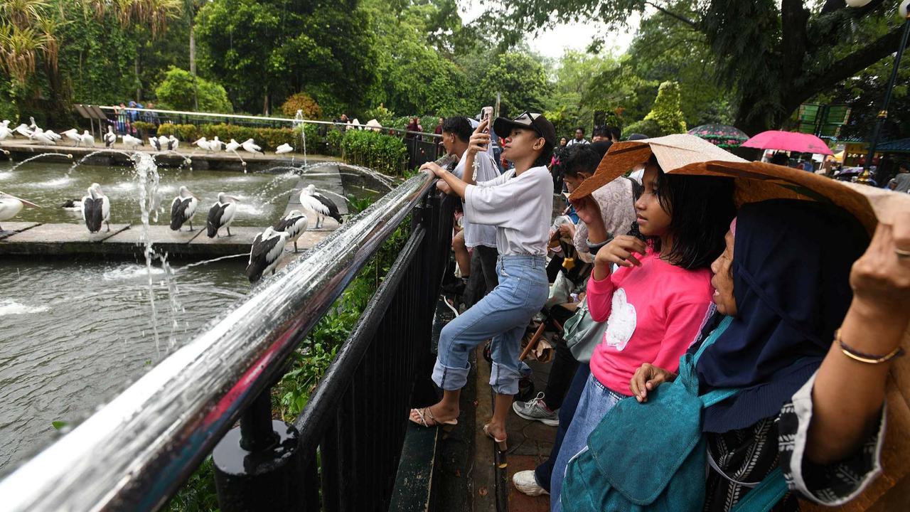 Ragunan Dibanjiri Puluhan Ribu Pengunjung di Hari Kedua Lebaran
