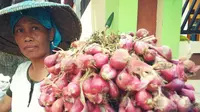 Kualitas lahan budidaya bawang merah di sentra penghasil bawang merah di Kabupaten Brebes, Jawa Tengah, semakin menurun (Liputan6.com/Fajar Eko Nugroho)