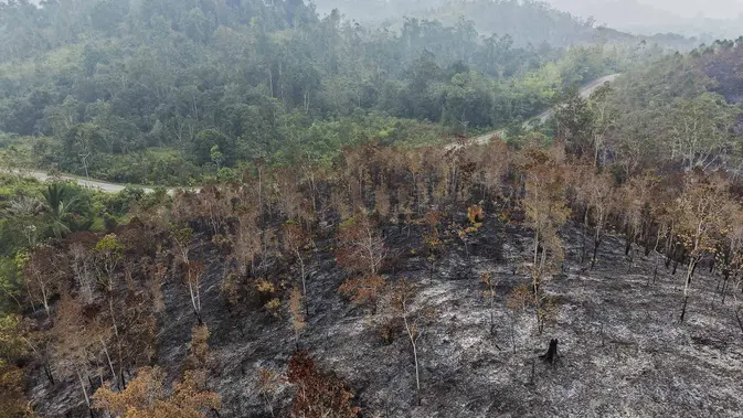 Helikopter Jepang Bantu Padamkan Kebakaran Hutan Kalbar