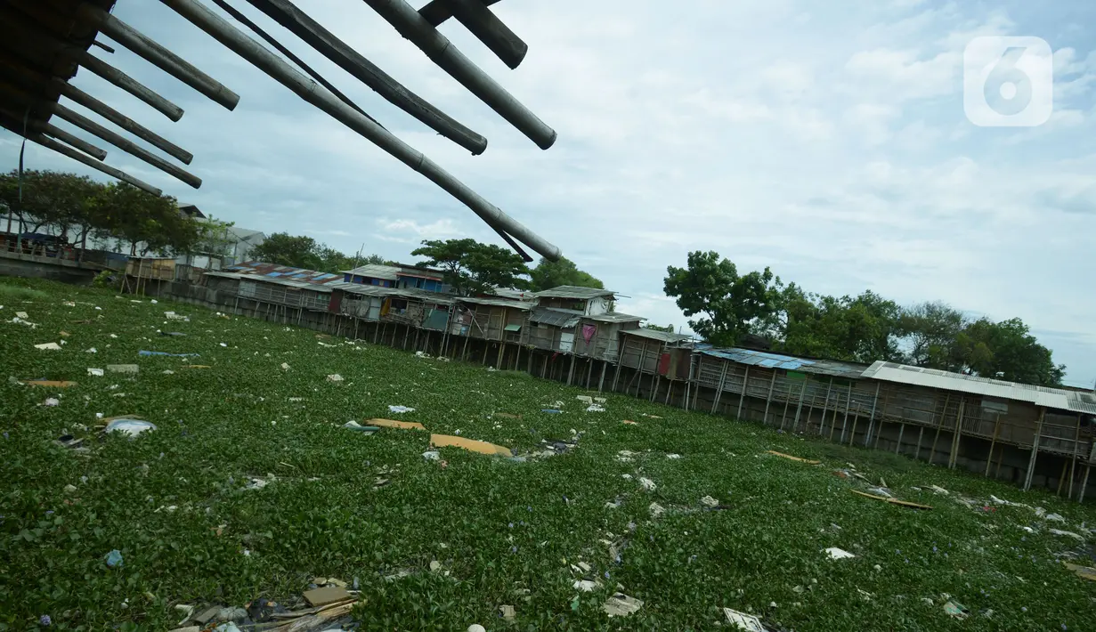 Suasana Kali Prancis yang dipenuhi enceng gondok di Dadap, Tangerang, Banten, Selasa (23/11/2021). Kali yang dipenuhi sampah dan eceng gondok (Eichhornia crassipes) menimbulkan bau tidak sedap bagi masyarakat sekitar dan membuat aliran menjadi terhambat. (merdeka.com/Imam Buhori)