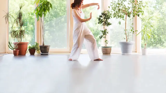 wanita tai chi 1