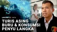 Turis Asing Buru dan Konsumsi Penyu Langka
