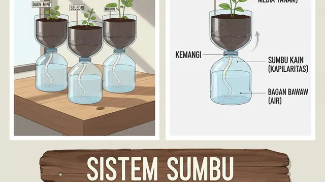 Sistem Sumbu Self-Watering (Gemini AI)