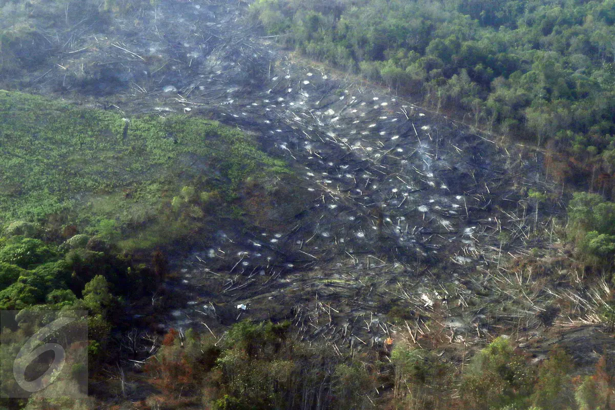 20151027-Begini Penampakan Kabut Asap di Kalimantan Timur
