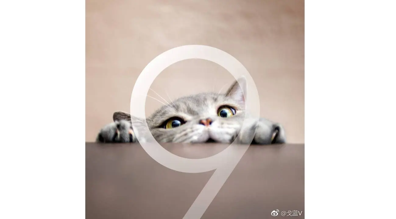 	Foto diduga hasil jepretan kamera Galaxy S9 (Foto: Weibo/ MySmartPrice)