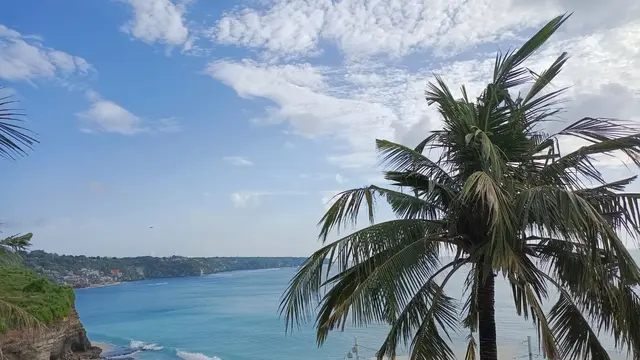 Panorama Klapa New Kuta Beach dari Golden Lounge