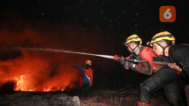 Karhutla BPBD Kalimantan Selatan Kalsel