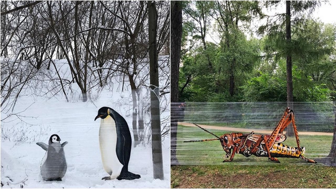 Pria Ini Buat Lukisan Hewan di Atas Plastik, 7 Hasilnya Mengagumkan