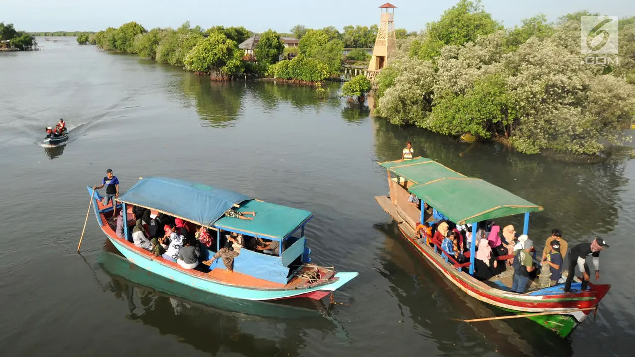 Menikmati Indahnya Wisata Mangrove di Bekasi